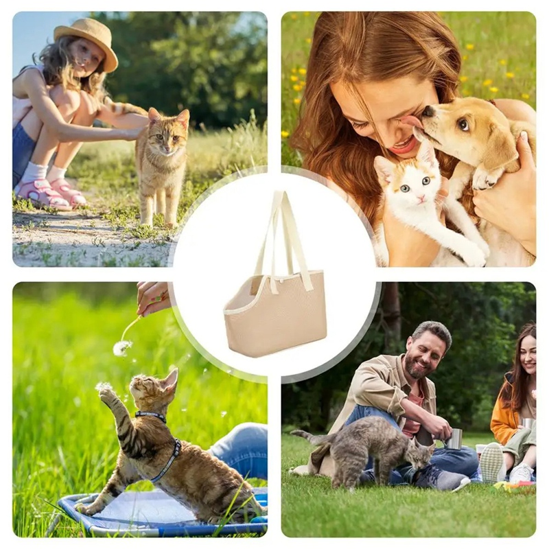 Retail Pembawa Dada Anjing Sel - Foldable Backpack Small ulasan dan harga